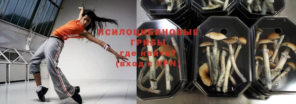 синтетический гашиш Бородино